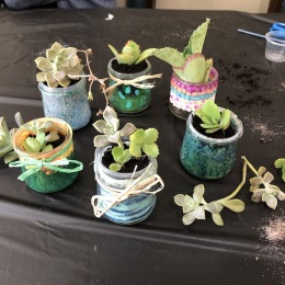 a table with potted plants